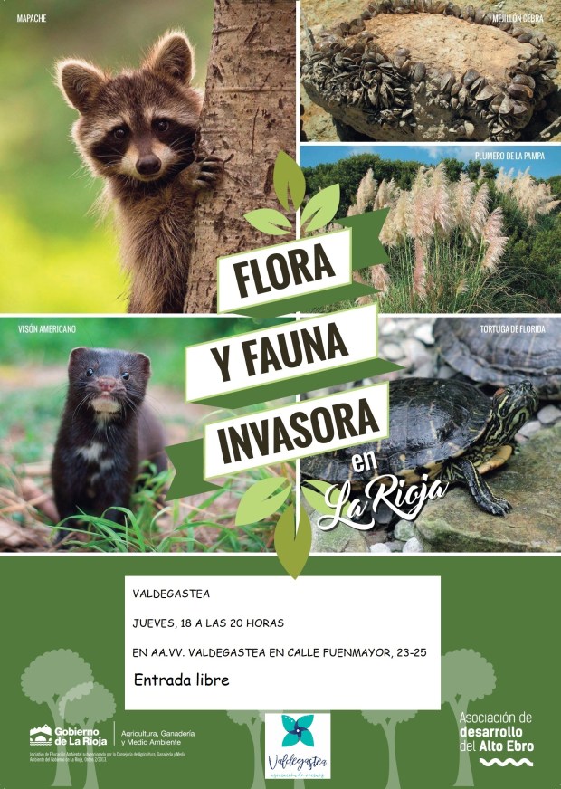 23.- Valdegastea-20h