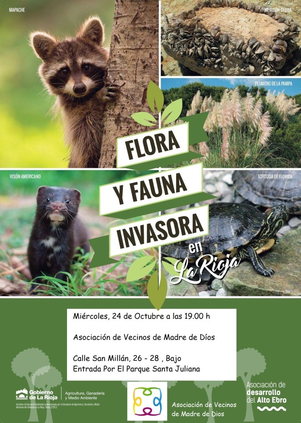 27.- Madre de Dios.jpg